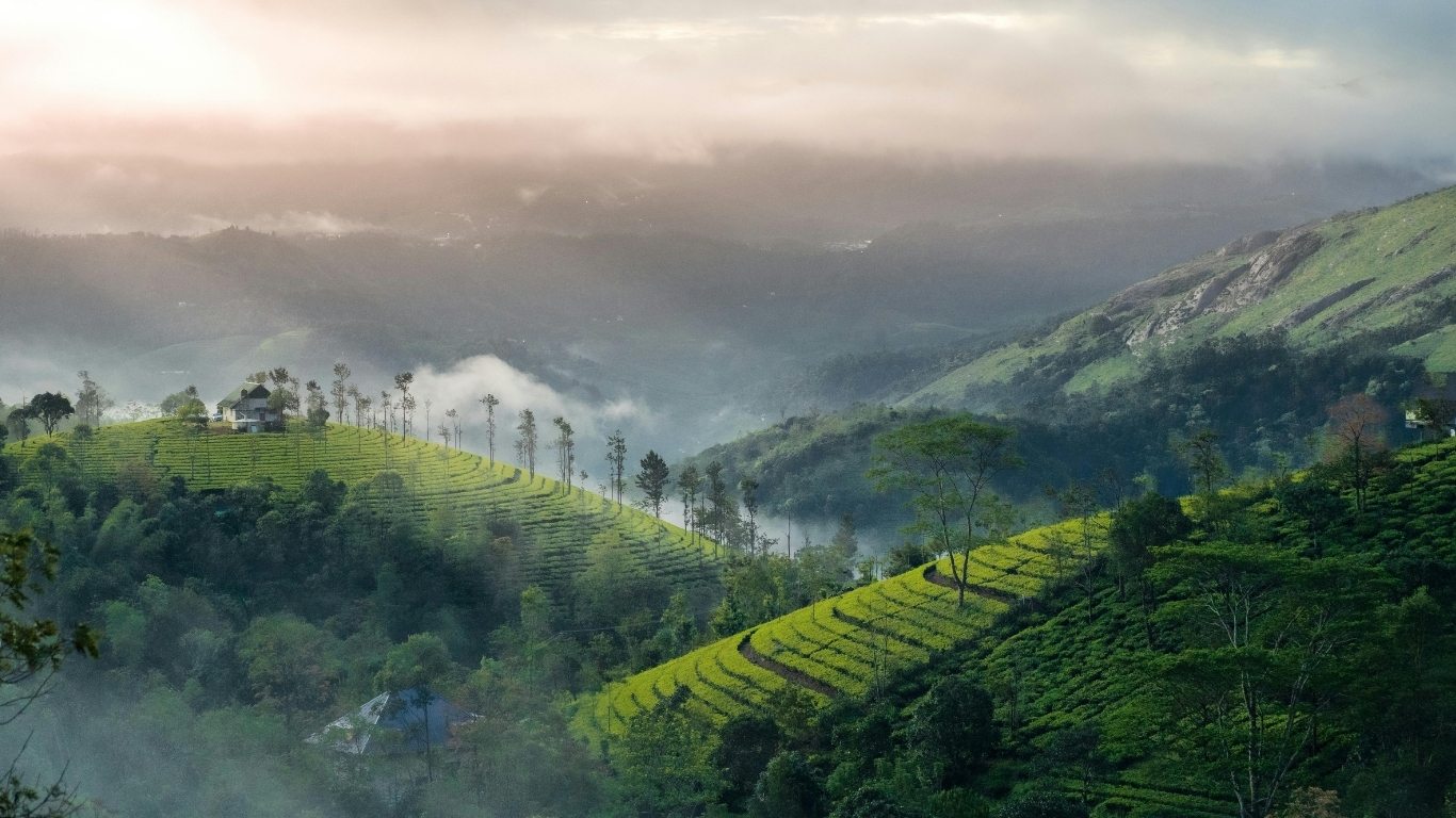 Kerala 3 Nights 4 Days Private Tour